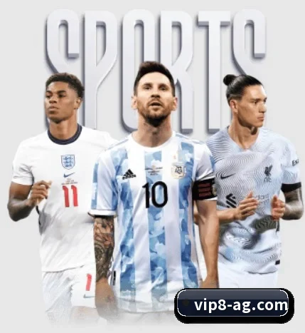 五大服务分区,信息按项目分类